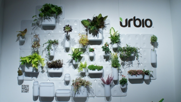 Schickes Ordnungssystem zu Hause an der Wand befestigt