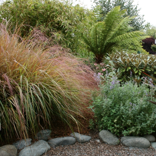 Schattengarten mit tropischen Pflanzen gestalten