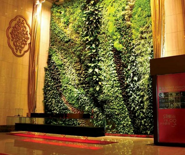 Vertikaler Garten: Ein Konzept - den Stil des Stattlebens verändern