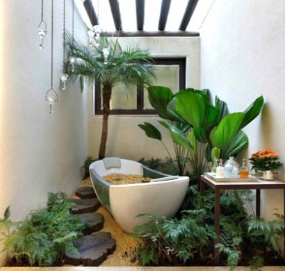 Pflanzen im Badezimmer - die besten Vorschläge für Sie