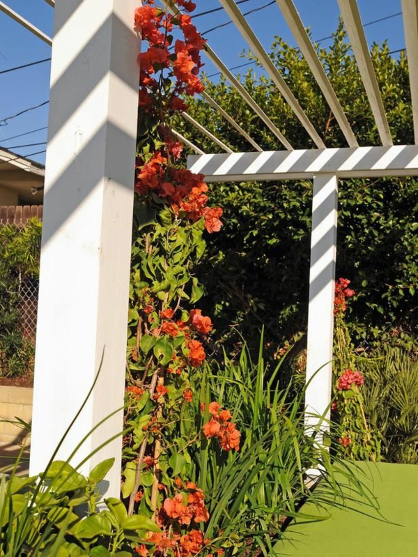 Тerrassenüberdachung selber bauen -Gartenlauben, Markisen und Pergolen