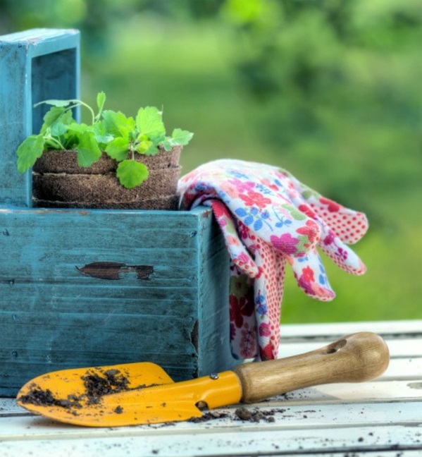 100 Gartengestaltungsideen und Gartentipps für Anfänger