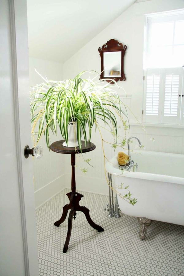 zimmerpflanzen bestimmen pflanze badezimmer badewanne