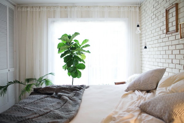 zimmerpflanzen schlafzimmer lange transparente gardinen