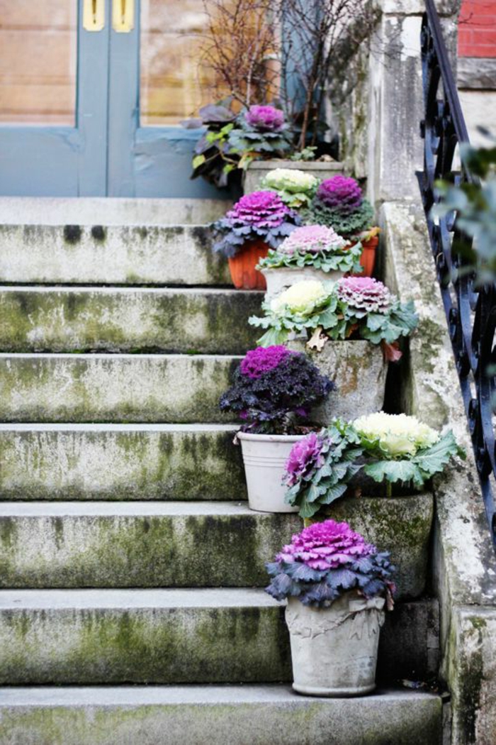 Garten Deko Ideen Die Garten oder Haustreppe mit Blumen