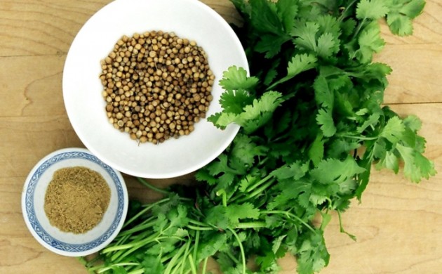 Garten & Pflanzen - Gartengestaltung - Gartenbau - Freshideen 5