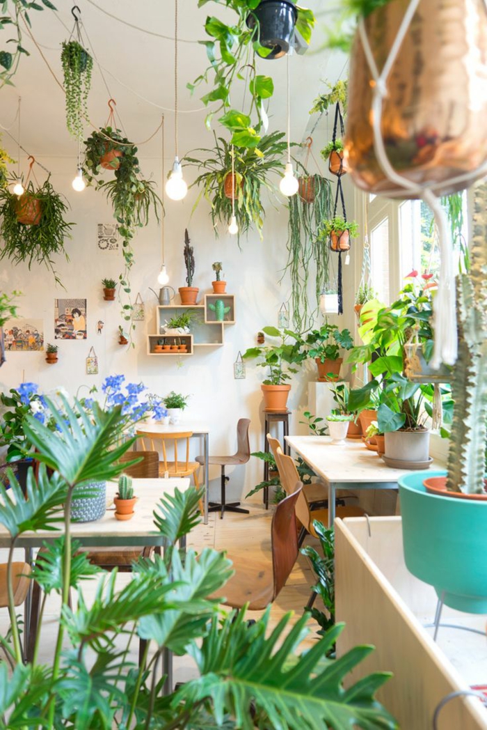 Schöne Zimmerpflanzen: So dekorieren Sie Ihr Zuhause mit pflegeleichten