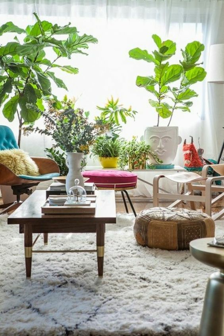 Where To Put Plants In Living Room Feng Shui At Norbert Bell Blog