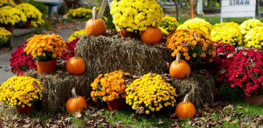 Herbst Fensterbilder Mit Acrylfarbe Malen In Einfachen Schritten