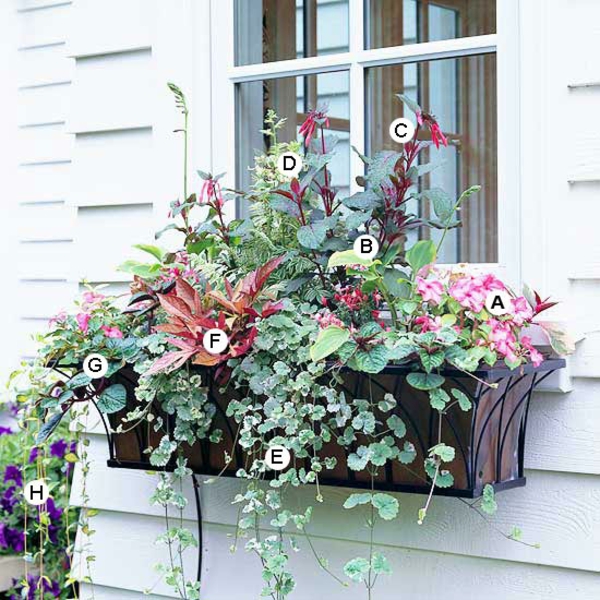 Ideen für Fenster Blumenkasten Impatiens