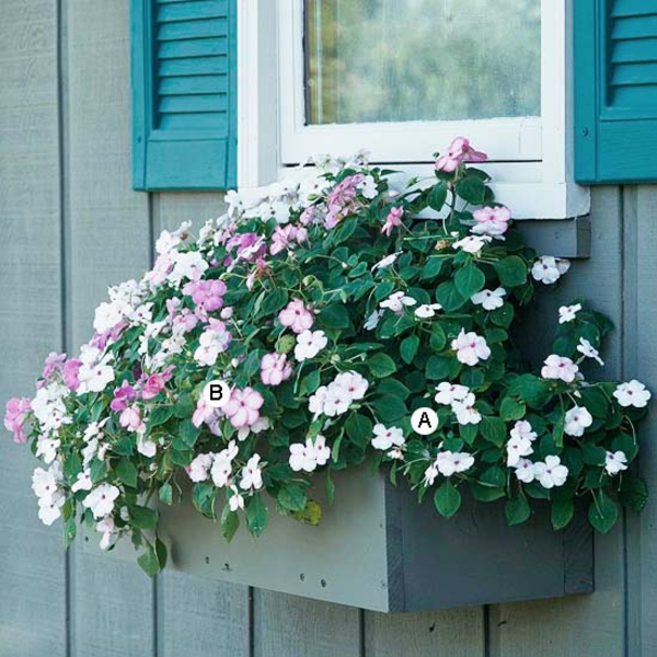 Ideen für Fenster Blumenkasten Blüten