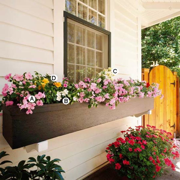 Ideen für Fenster Blumenkasten Snapdragon