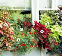 Gartengestaltung : Frische Ideen für Fenster Blumenkasten
