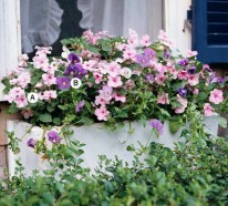 Gartengestaltung : Frische Ideen für Fenster Blumenkasten