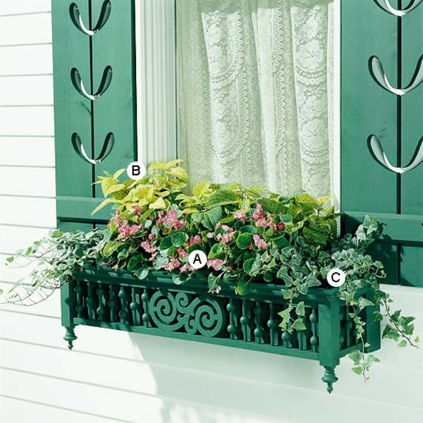 Ideen für Fenster Blumenkasten Wax Begonie