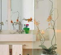 14 exklusive Ideen für Dekoration mit Orchideen