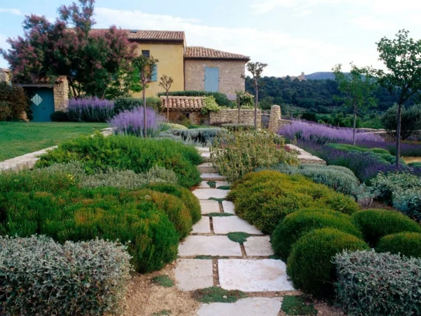 gartenbau mediterrane pflanzen steinplatten lavendel kräuter