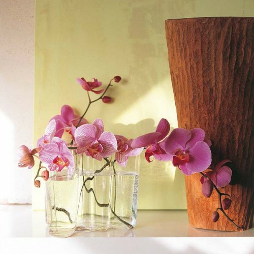 gläser wasser dekoration orchideen rosa frisch originell