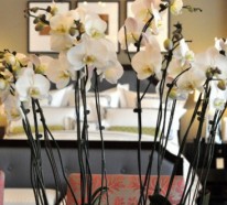 Raum- und Tischdeko mit Orchideen: eine zarte und hochwertige Verzierung