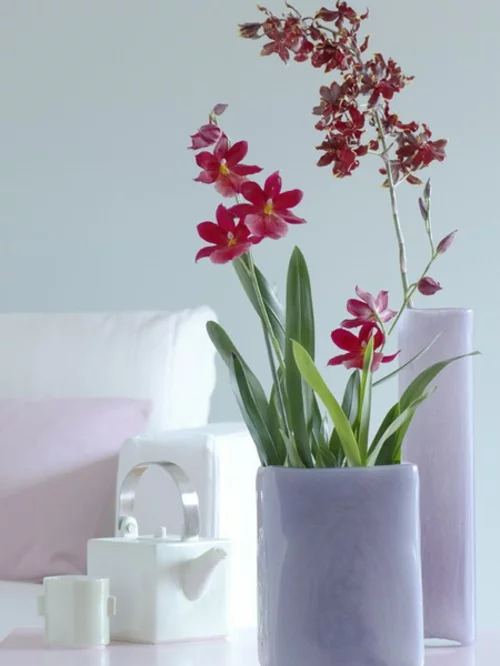 orchideen idee grellrot pastelltöne weiß ledersofa