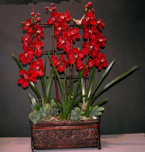 rote orchideen holz quadratisch topf dekoration idee