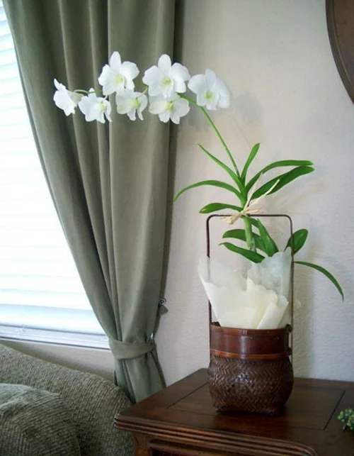 seitentisch echtholz dekorativ orchideen blumentopf schlafzimmer grau
