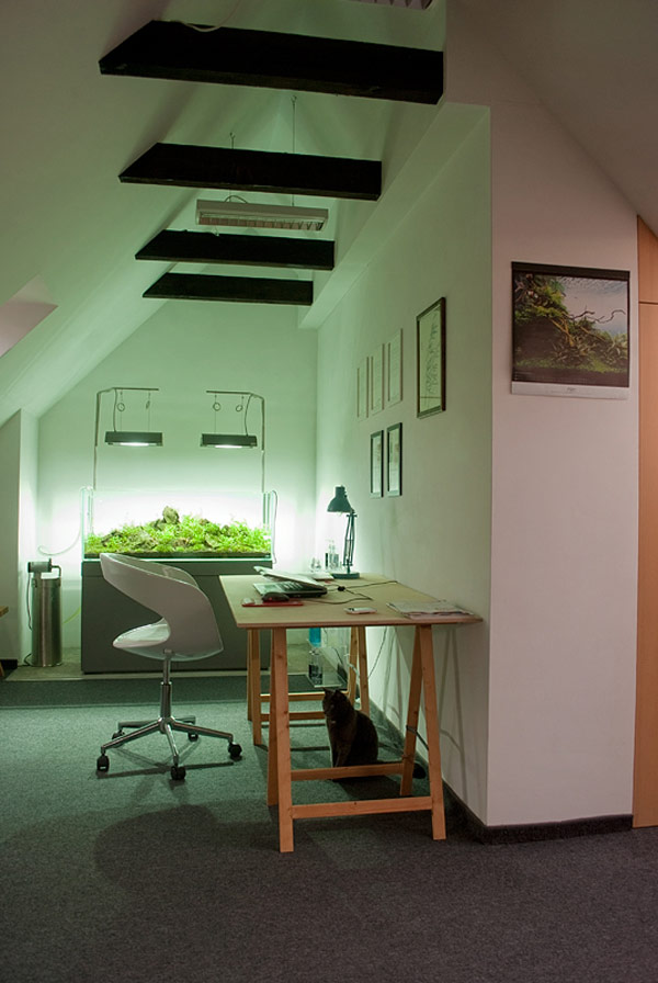 2-etagen-apartment polen weiß büroraum praktisch einzigartig