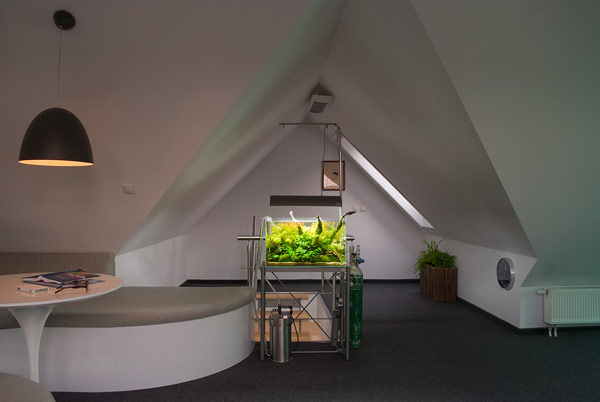 2-etagen-apartment polen weiß grün dachgeschoss