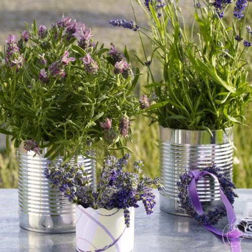 Ideen Hausdekoration mit Lavendel Blumentöpfe Tisch Garten