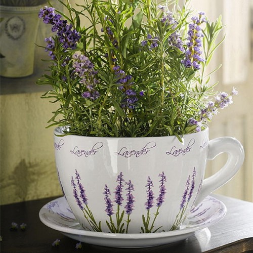 Ideen Hausdekoration mit Lavendel Tasse Blumentopf Design
