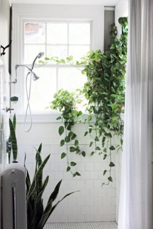 badezimmer design dusche pflanzen