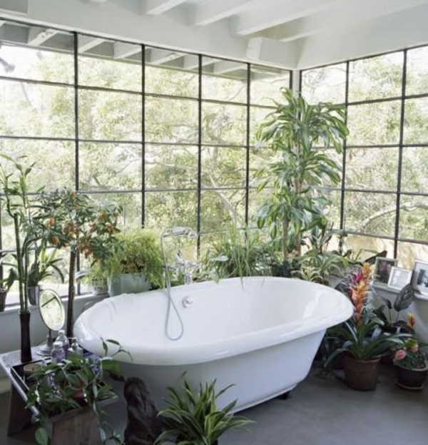 badezimmer design glaswände pflanzen