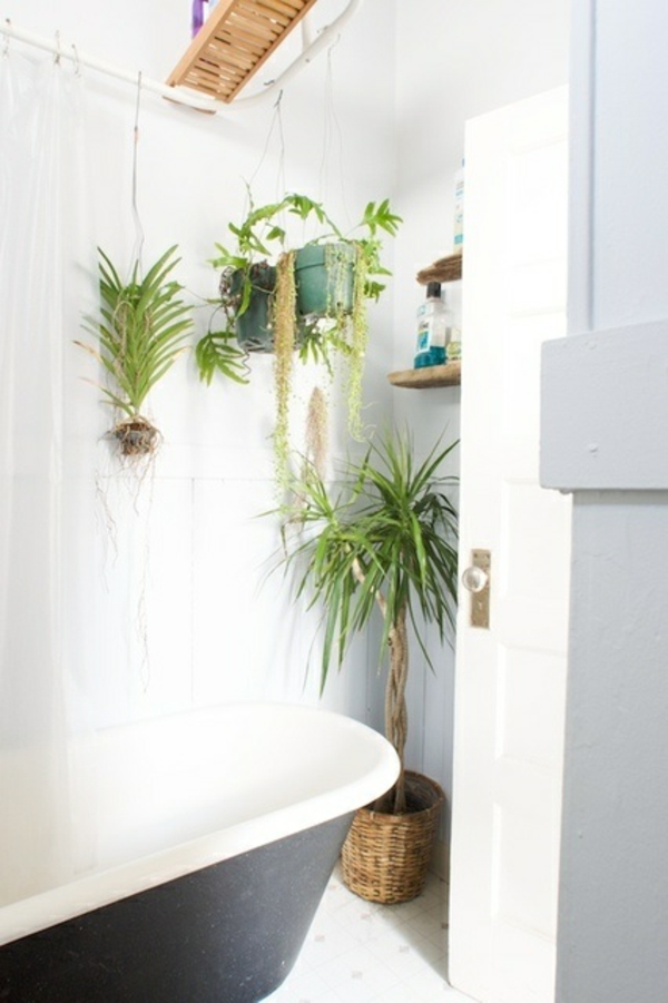 badezimmer weiße wände pflanzen