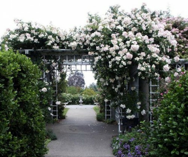 Zauberhafte Rosenbogen Im Garten 21 Tolle Vorschlage