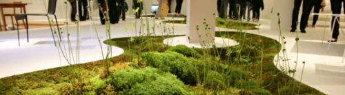 pflanzenwelt biologisch abbaubar lebend badematte idee design