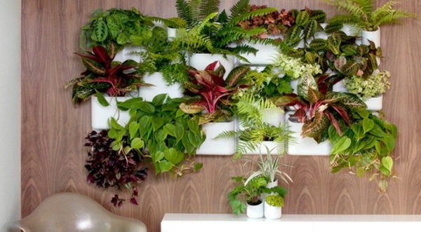 Schickes Ordnungssystem zu Hause an der Wand befestigt