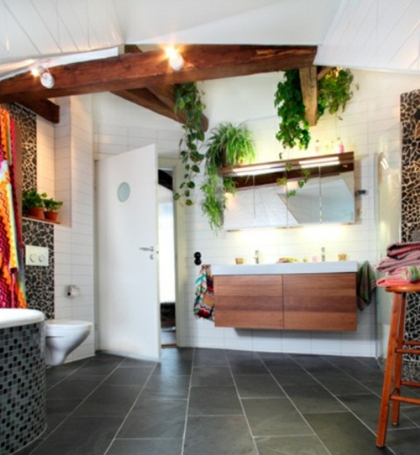 stilvoll badezimmer design luftpflanzen