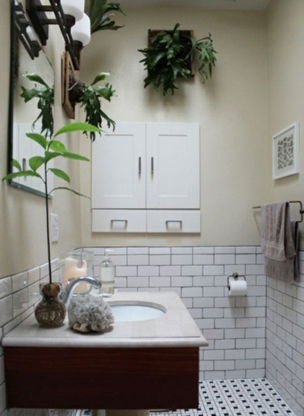 weiß badezimmer luftpflanzen