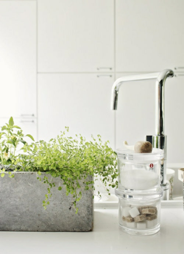 zarte grüne pflanzen badezimmer