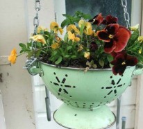 Balkon Pflanzen – coole platzsparende Ideen