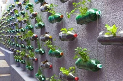 terrasse pflanzen blumentopf praktisch plastikflaschen