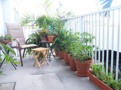 balkon pflanzen blumentopf praktisch stühle