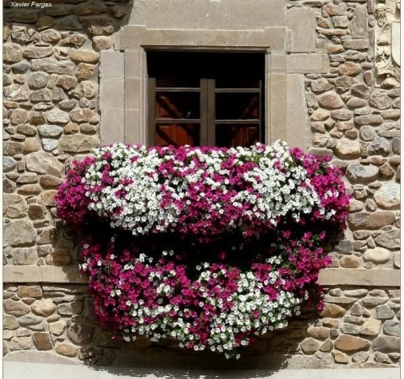 balkon pflanzen design garten gestalten holz lila weiß blüten