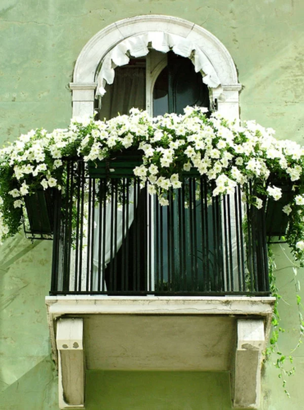 balkon pflanzen design garten gestalten weiß blumen