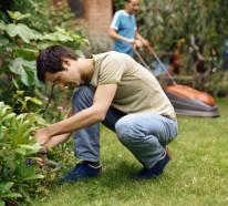 Die Beete Kanten selbst verlegen – nützliche Tipps für Gärtner