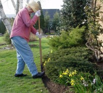 Die Beete Kanten selbst verlegen – nützliche Tipps für Gärtner