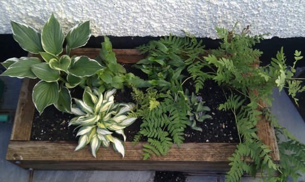 Garten verschönern – günstige und attraktive Ideen