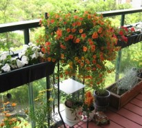 Coole Balkon Bepflanzungsideen – Verschönern Sie Ihren Balkon oder Terrasse!