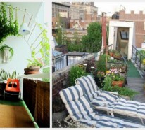 Coole Balkon Bepflanzungsideen – Verschönern Sie Ihren Balkon oder Terrasse!
