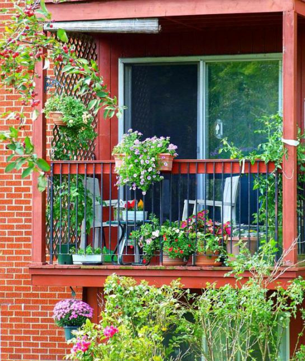 coole balkon bepflanzungsideen ziegel mauer grün